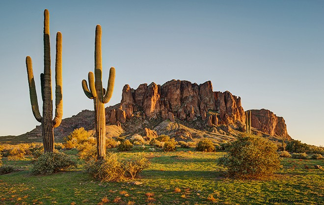 Faça uma pausa no jogo de bola:14 coisas que você não pode perder no Arizona 